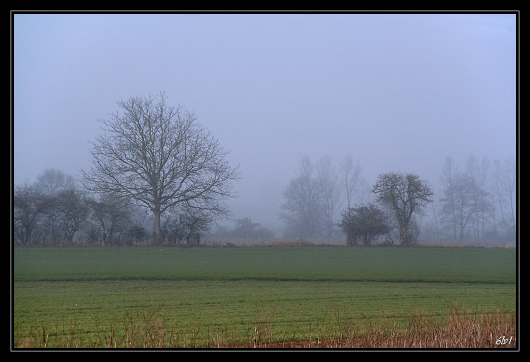 IMG_2740 cs cadre.jpg - Campagne de Septème